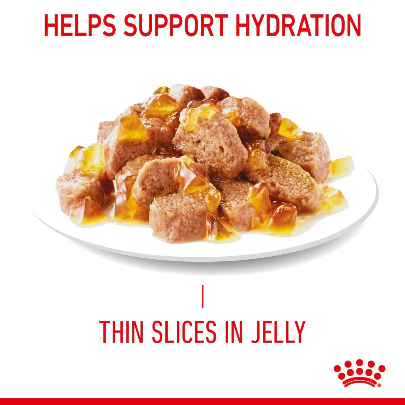 Royal Canin Hairball Care Wet Cat Food Thin Slices in Jelly for Adult Cats, 85g