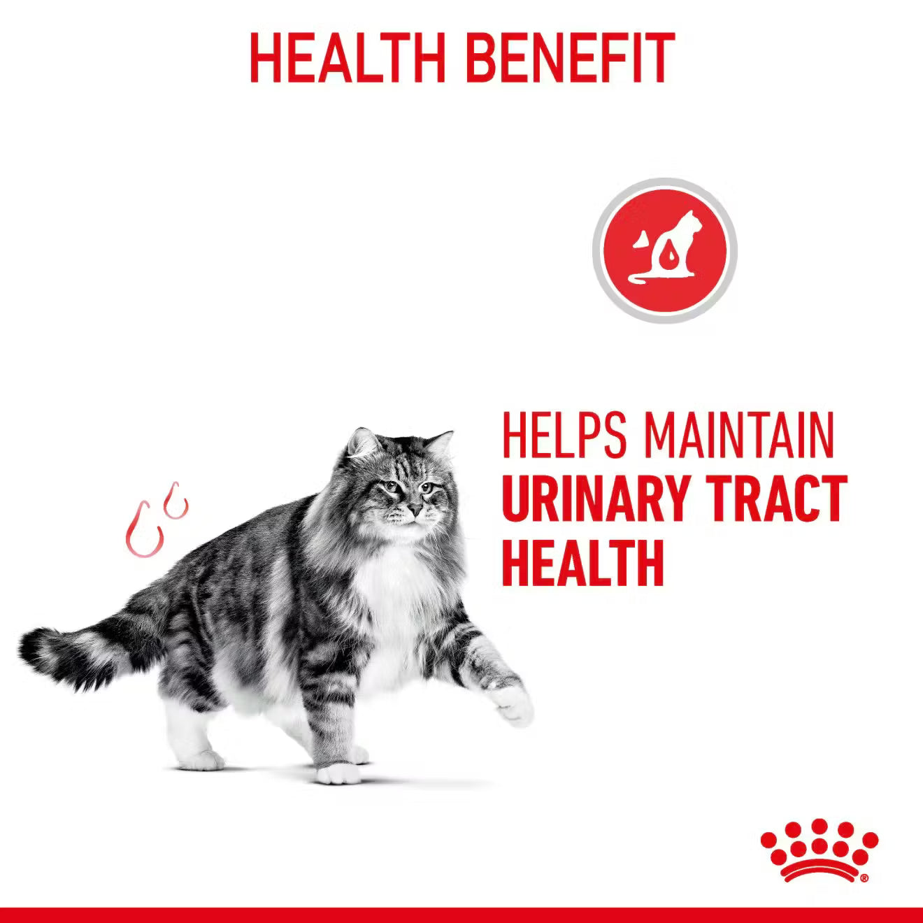 Royal Canin Urinary Care Wet Cat Food Thin Slices in Jelly for Adult Cats, 85g