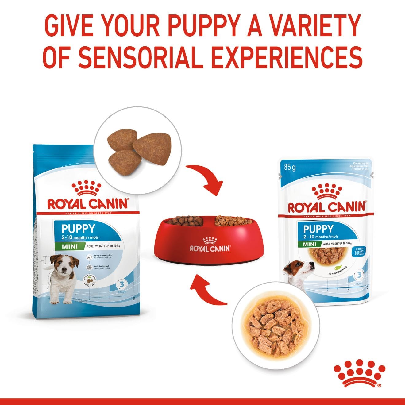 Royal Canin Wet Small Dog Food Chunks In Gravy for Small Breed Puppies, 85g