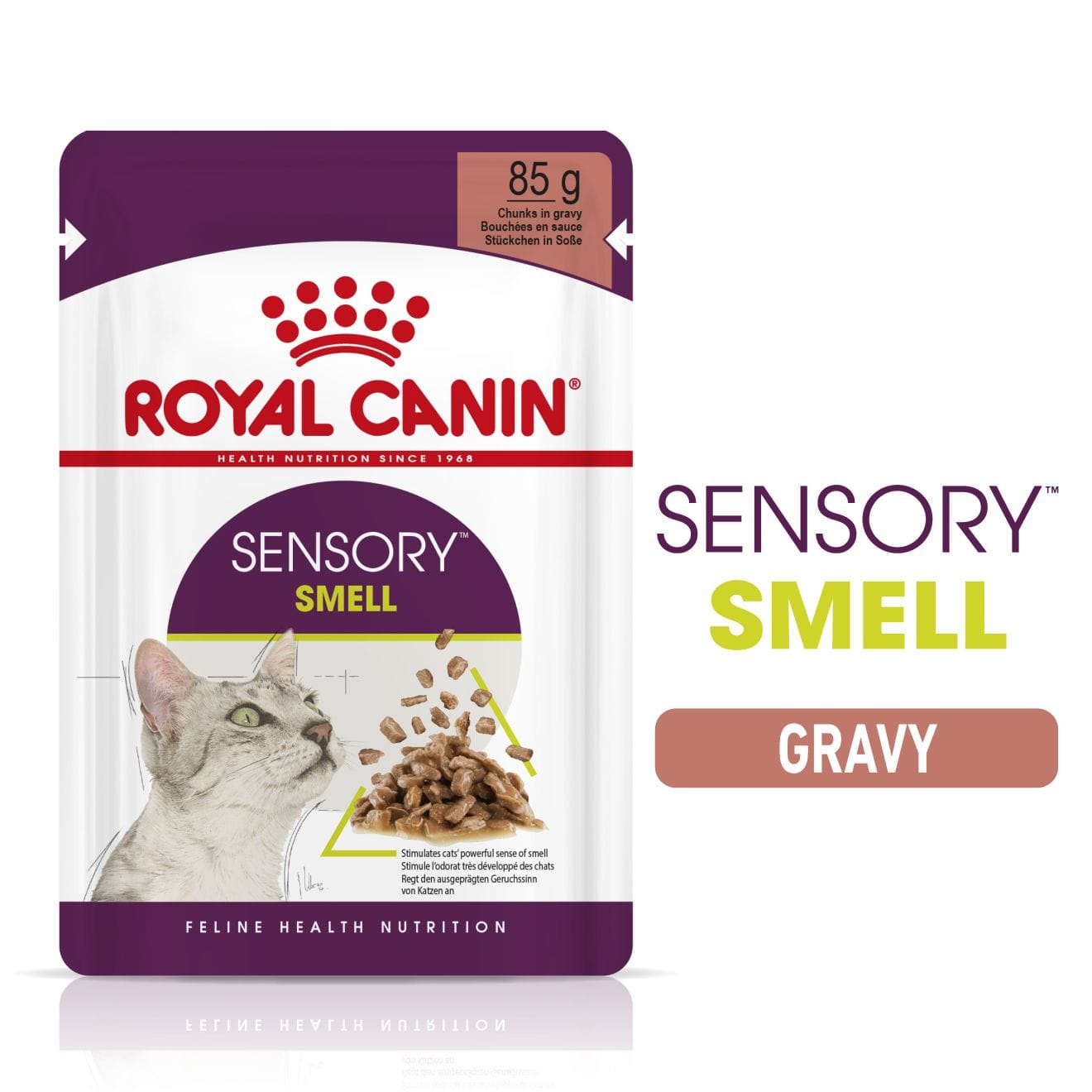 Royal Canin Sensory Smell Wet Cat Food Chunks In Gravy for Adult Cats, 85g