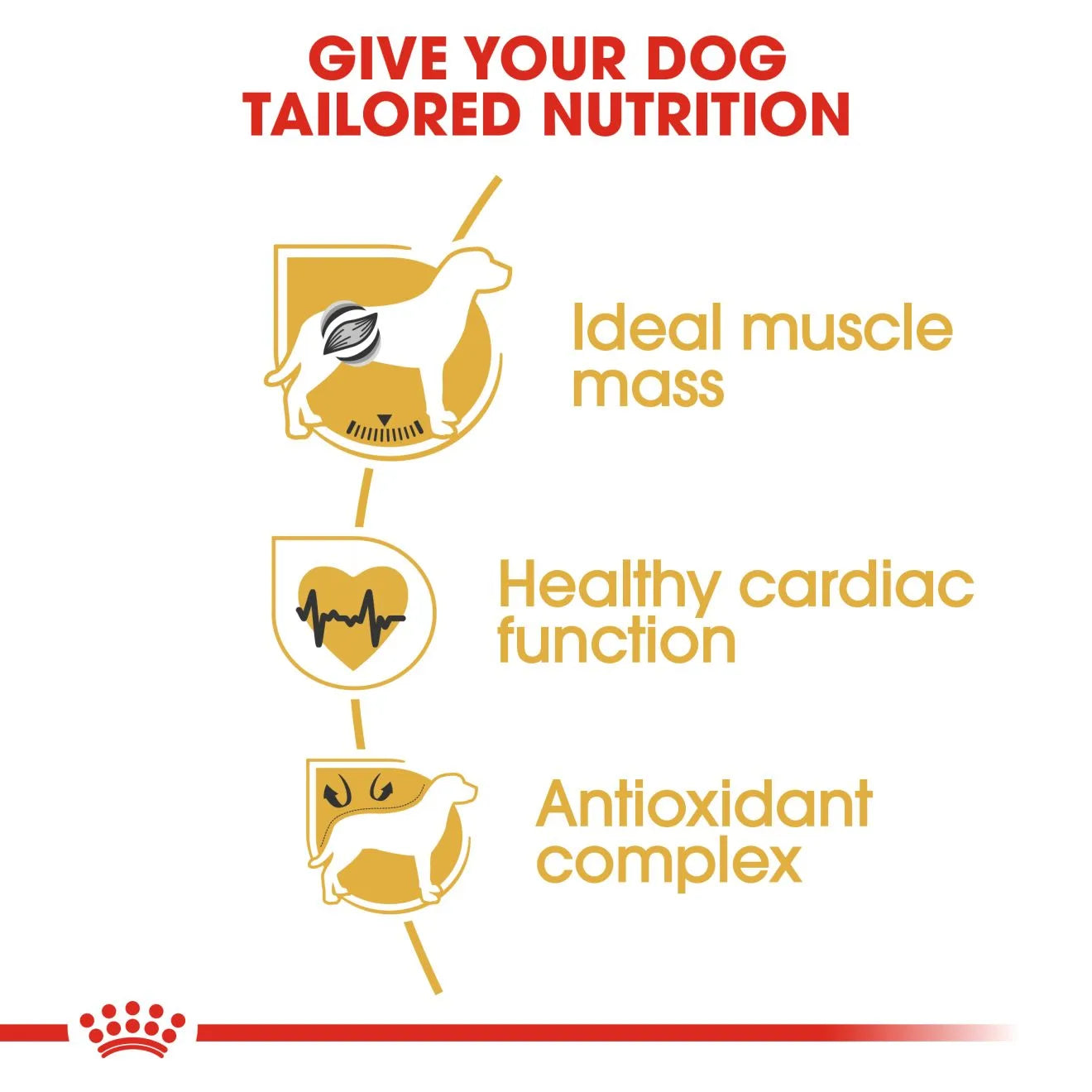 Royal Canin Dry Dog Food for Adult Boxers, 12kg