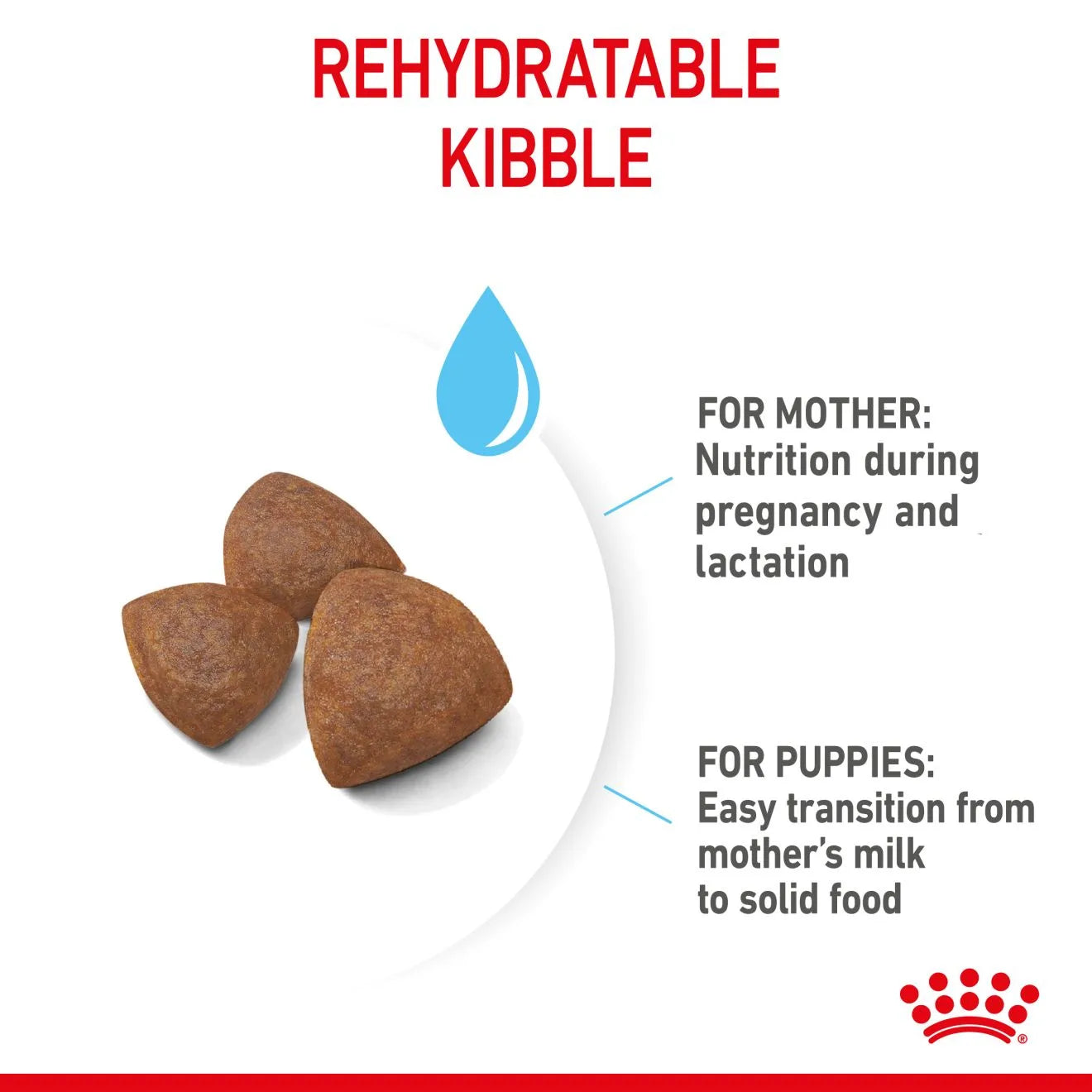 Royal Canin Starter Dry Dog Food for Medium Breed Mother & Babydog