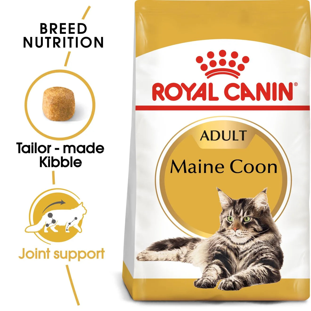 Royal Canin Dry Cat Food for Adult Maine Coon Cats
