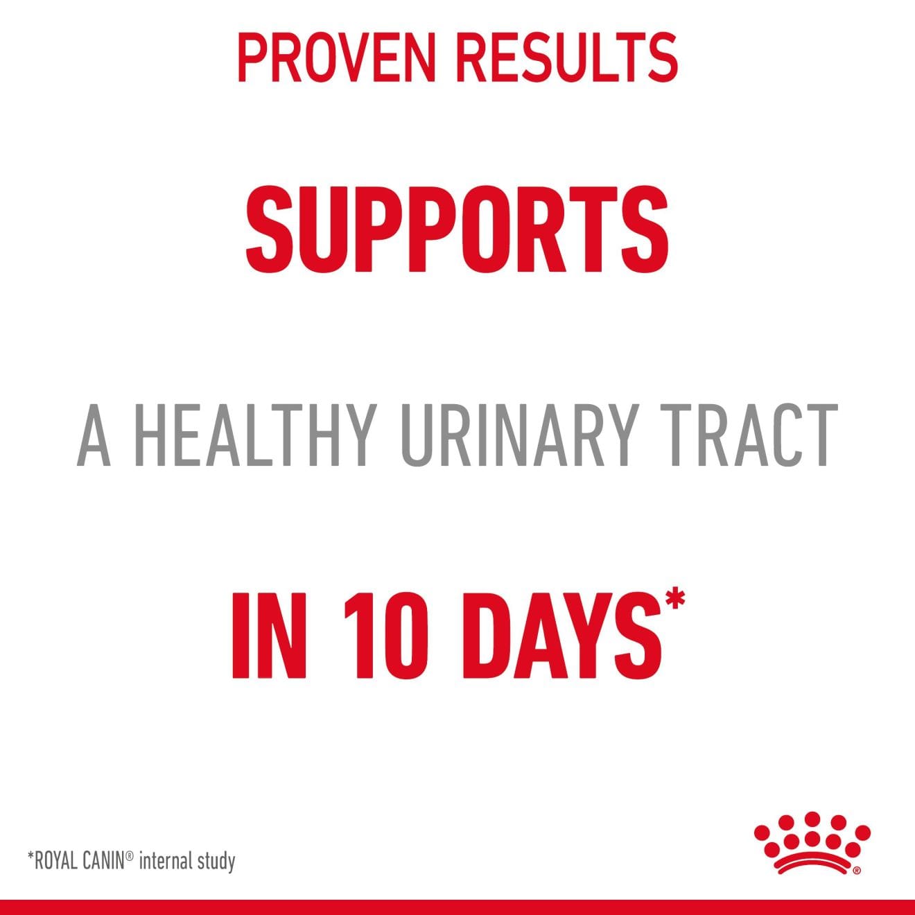 Royal Canin Urinary Care Wet Cat Food Thin Slices In Gravy for Adult Cats, 85g