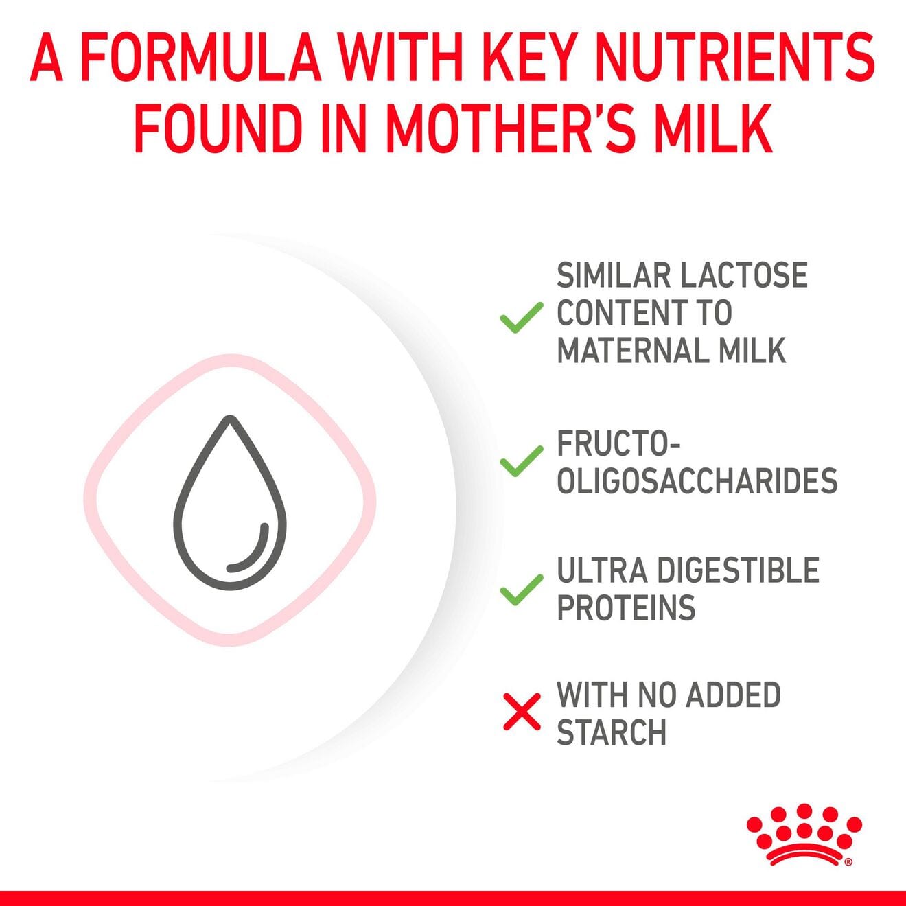 Royal Canin Babycat Milk for Kittens, 300g