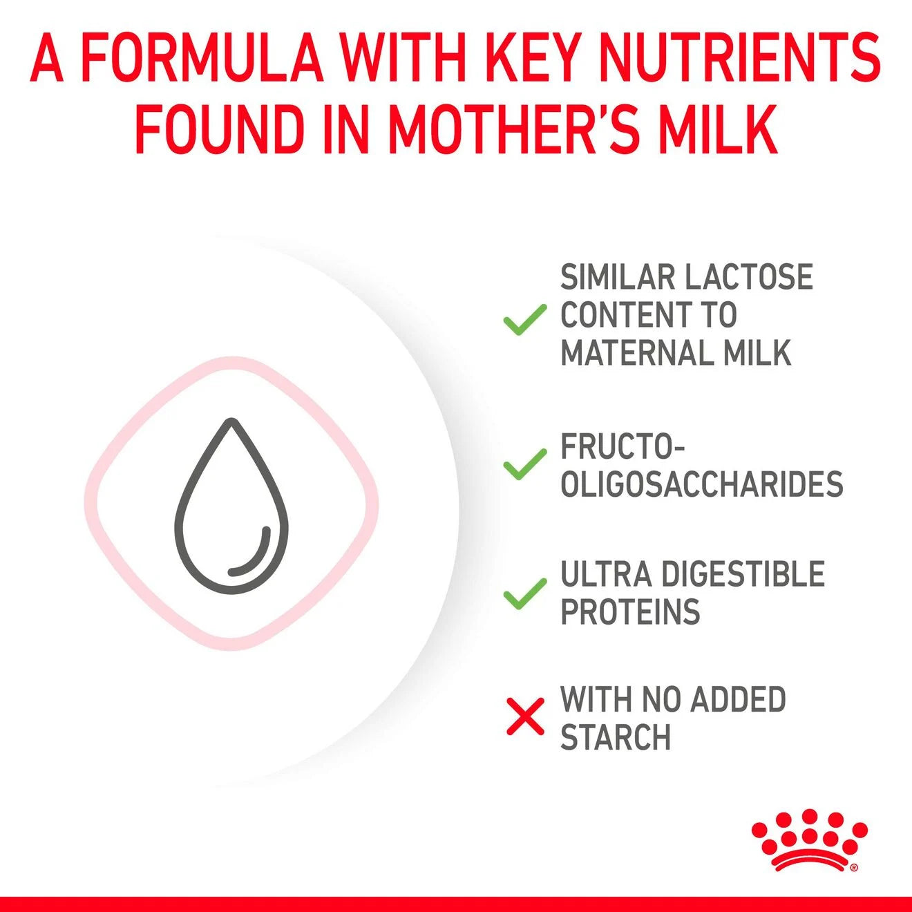 Royal Canin Babycat Milk Cat Food for Kittens, 300g