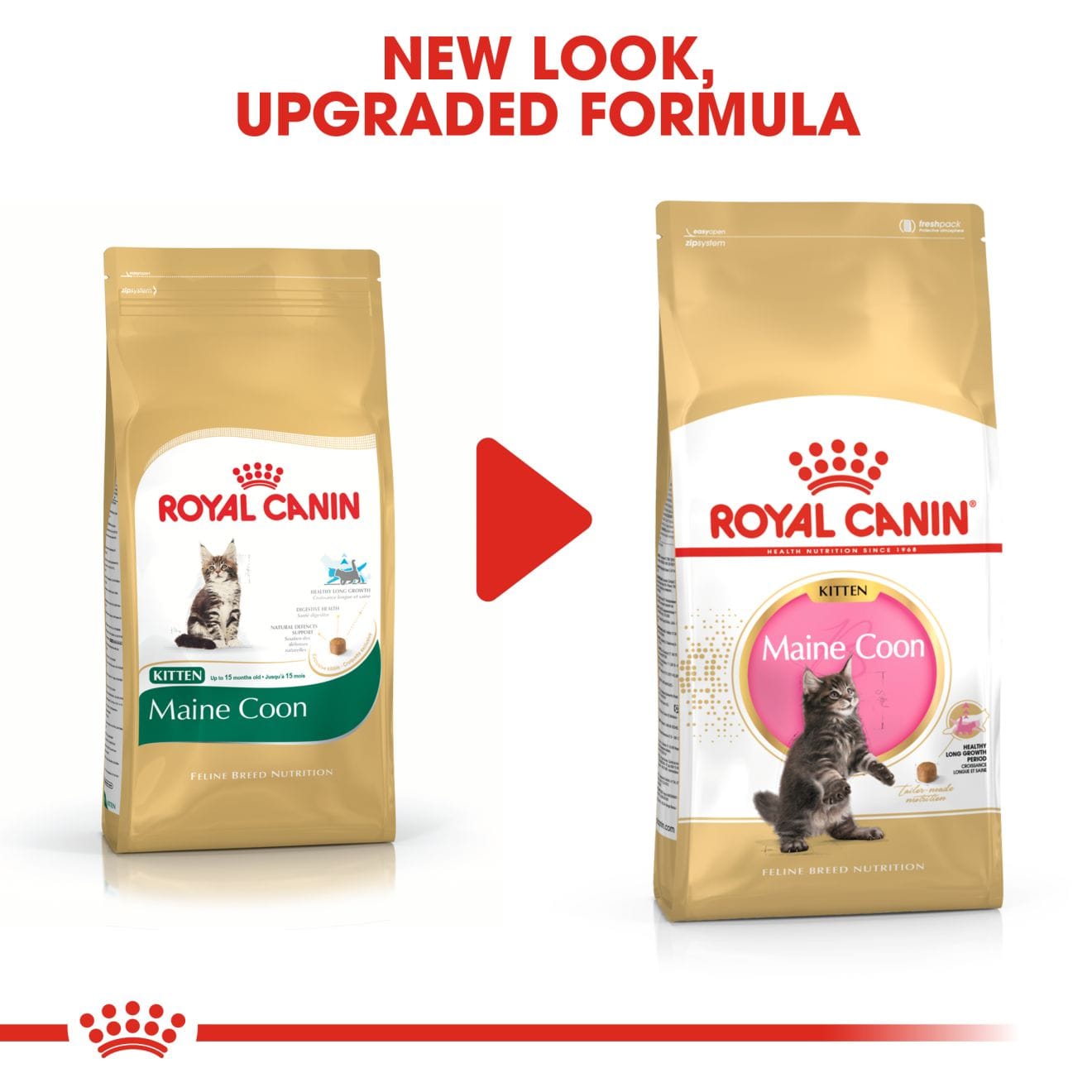 Royal Canin Dry Cat Food for Maine Coon Kittens, 2kg