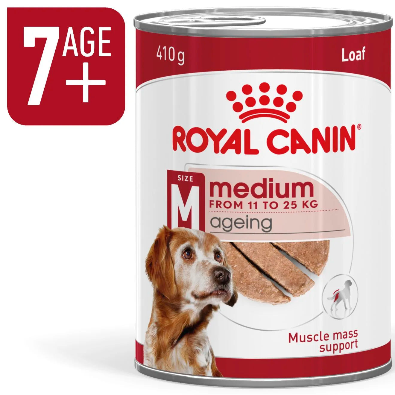 Royal Canin Ageing 7+ Wet Dog Food in Loaf for Medium Breed Senior Dogs, 410g