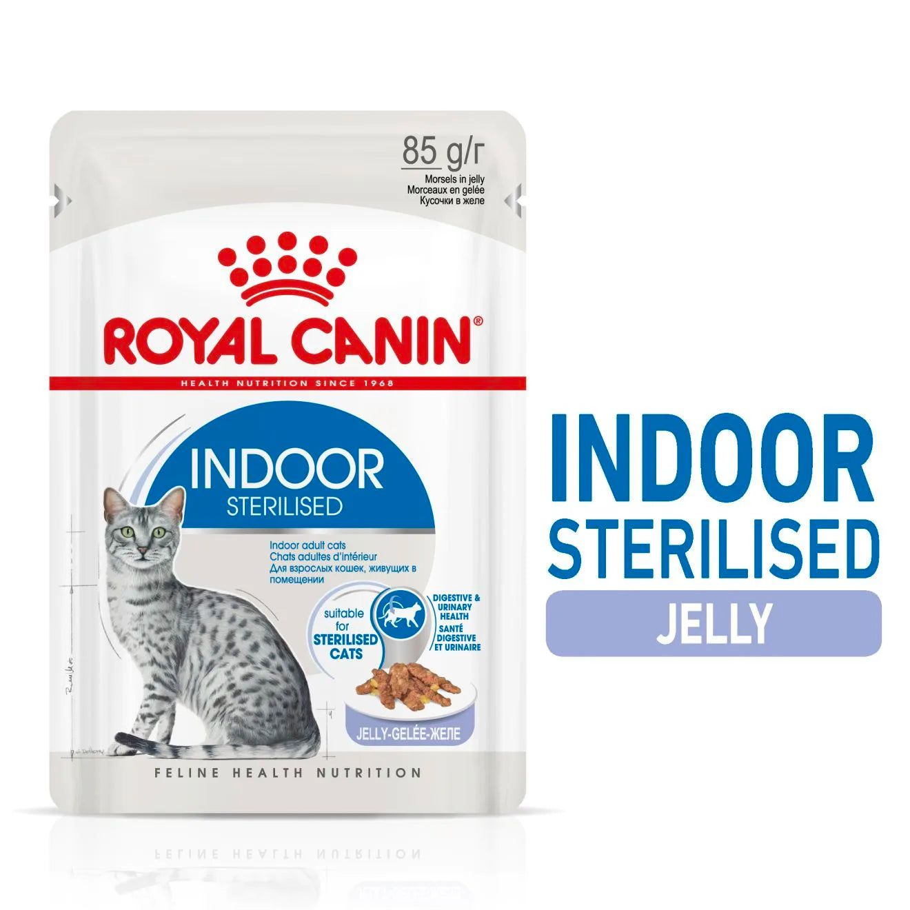Royal Canin Indoor Sterilised Wet Cat Food Morsels in Jelly for Adult Cats, 85g