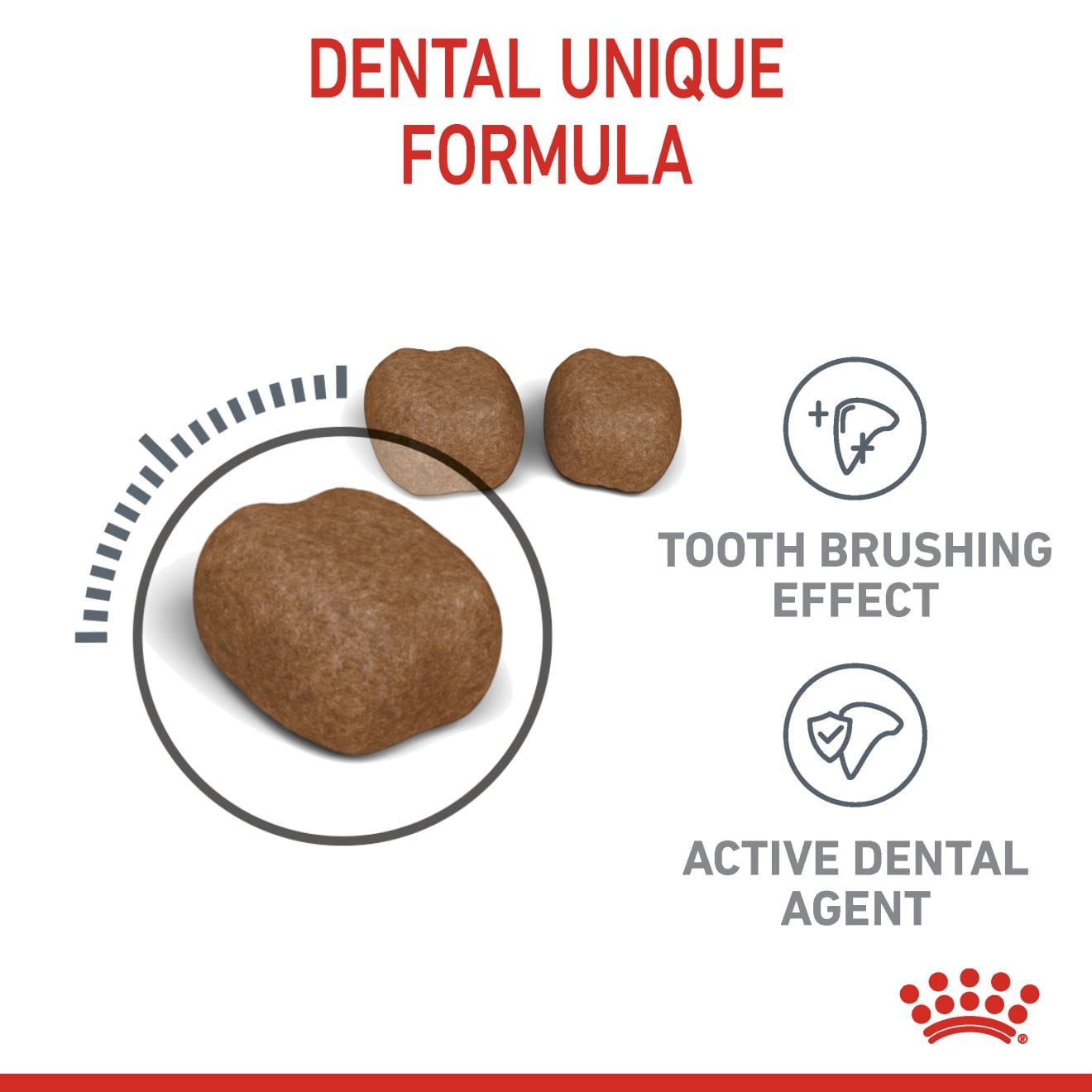 Royal Canin Dental Care Dry Cat Food for Adult Cats, 1.5kg
