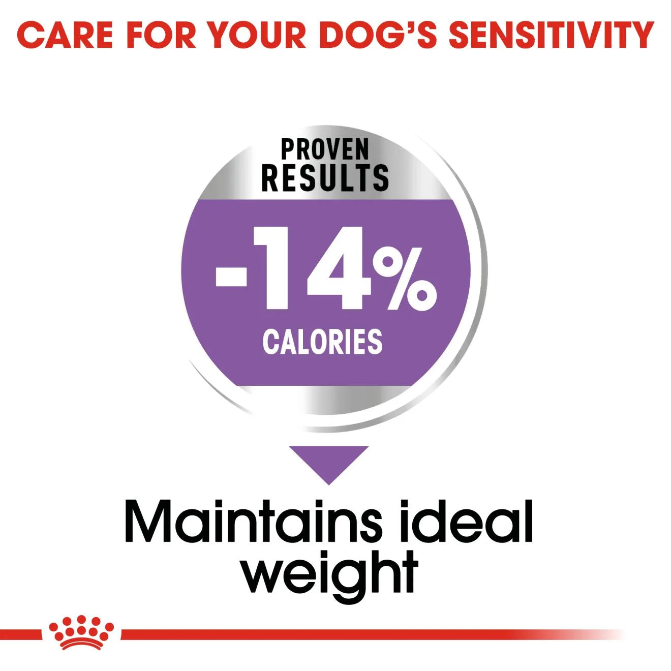 Royal Canin Sterilised Dry Dog Food for Large Breed Adult Dogs, 12kg