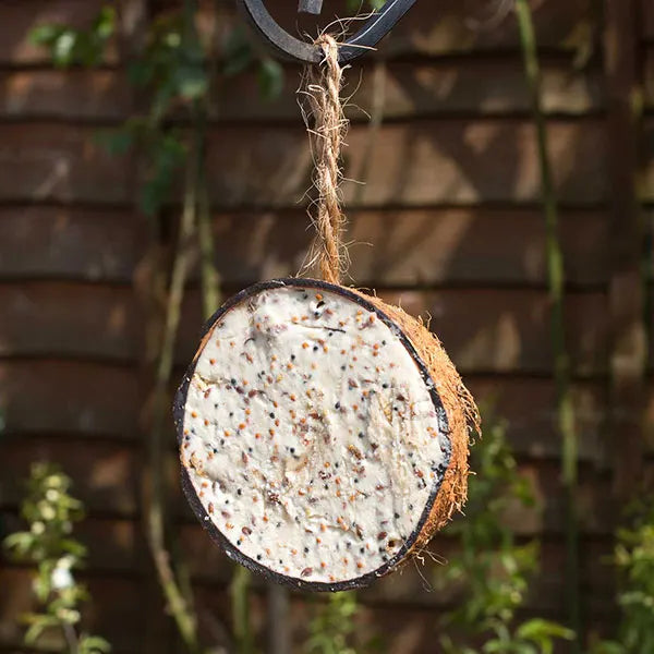 Hadley Wild Bird Half Coconut Suet Shells - Original