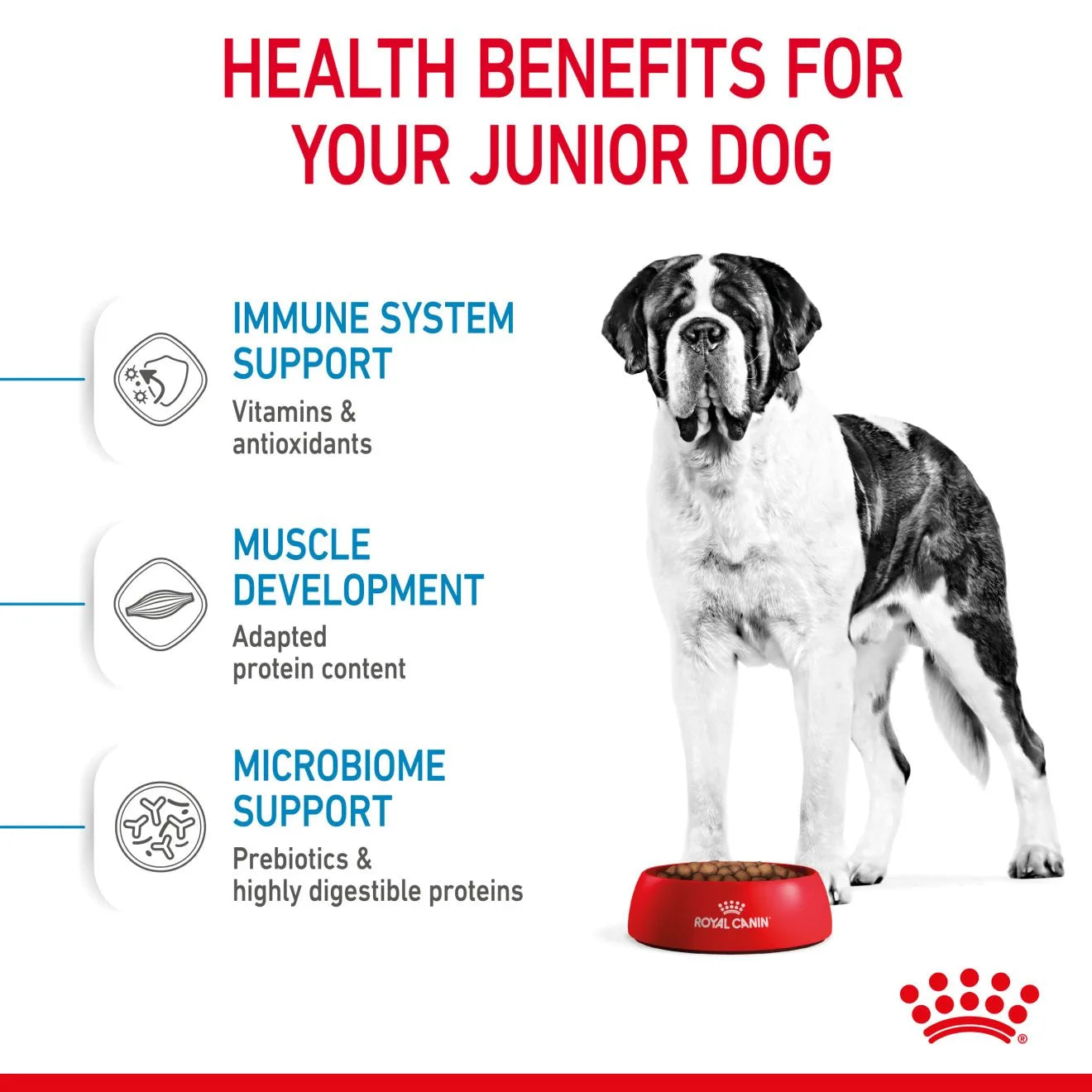 Royal Canin Dry Dog Food for Extra Large Breed Junior Dogs, 15kg