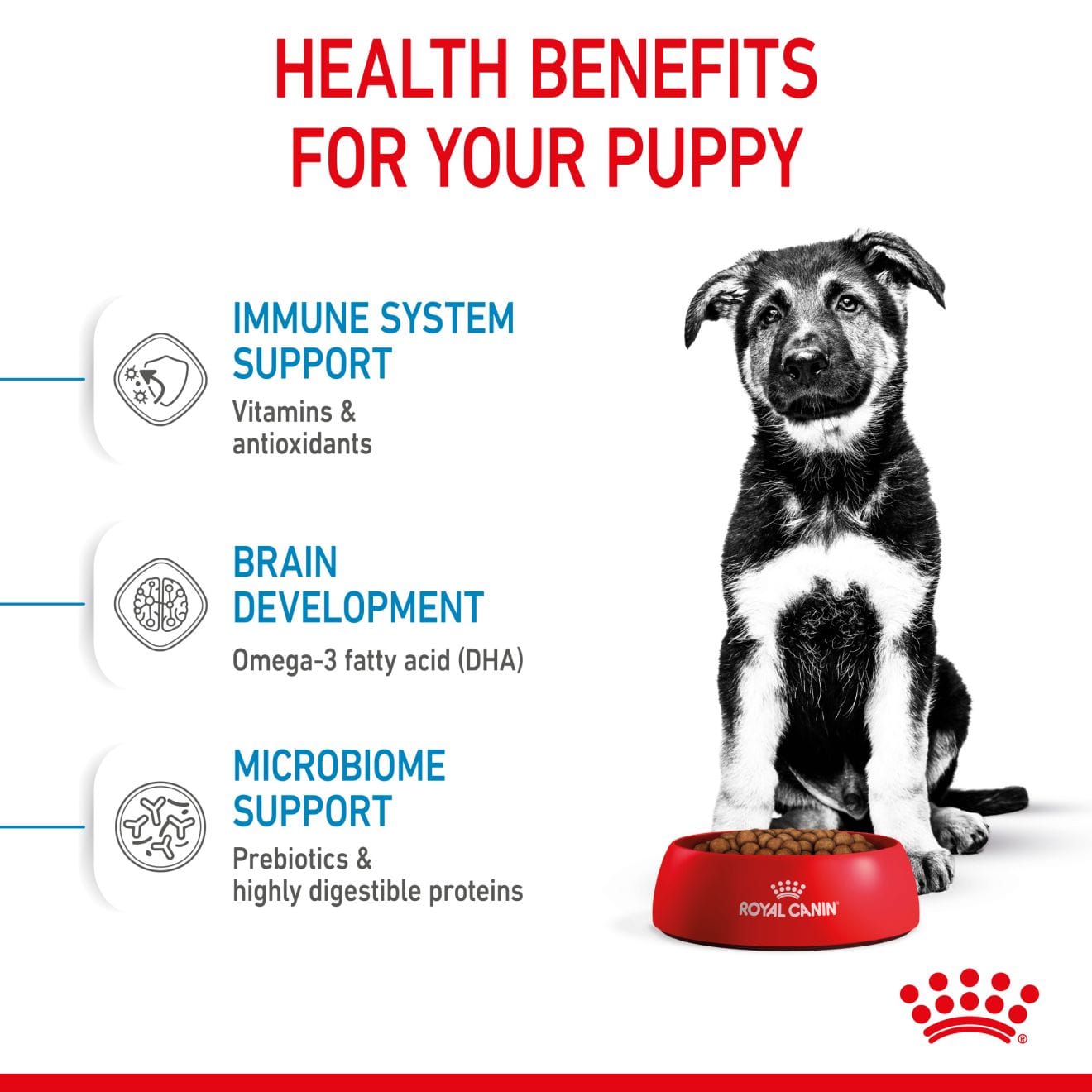 Royal Canin Dry Dog Food for Large Breed Puppies, 4kg