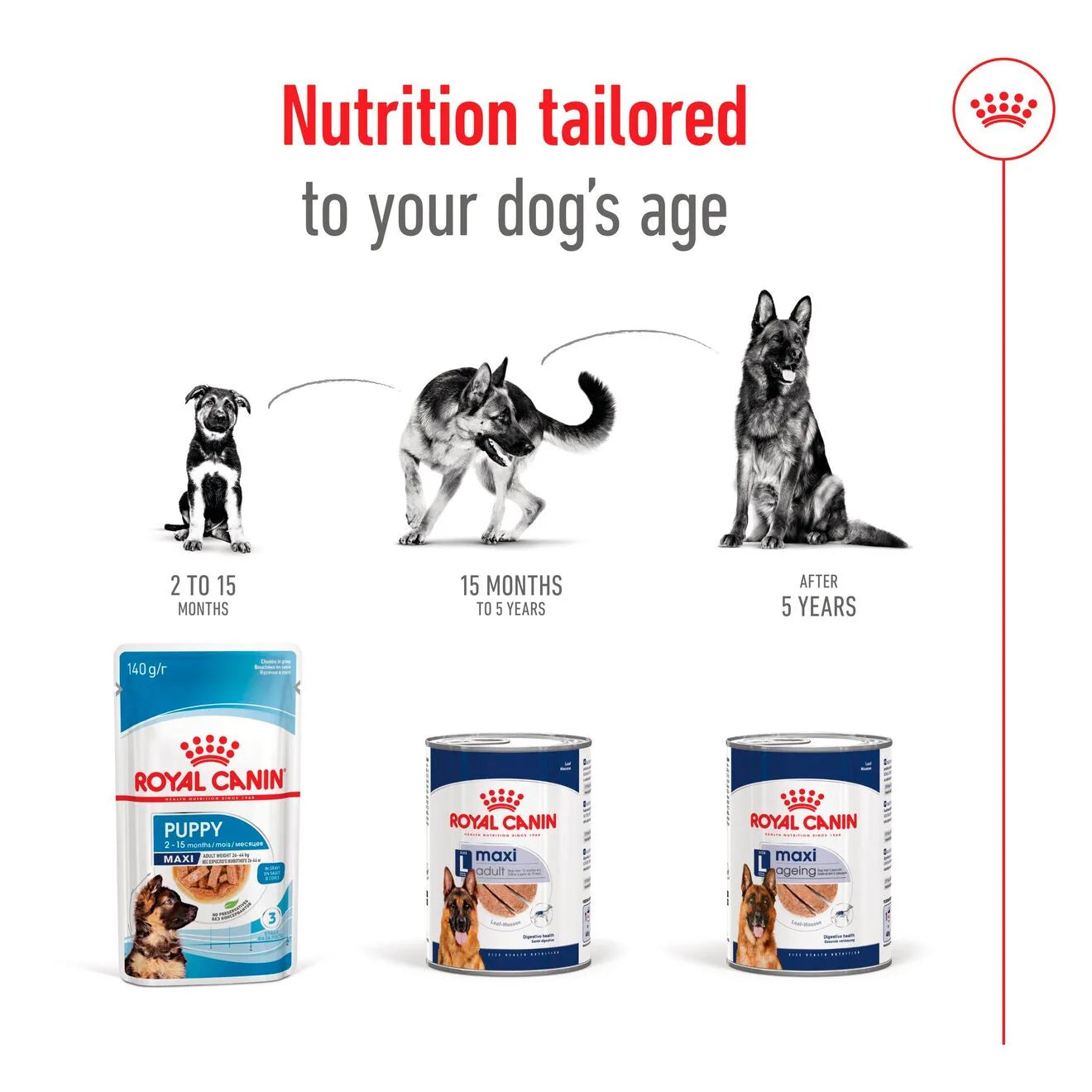 Royal Canin Ageing 5+ Wet Dog Food in Loaf for Large Breed Senior Dogs, 410g