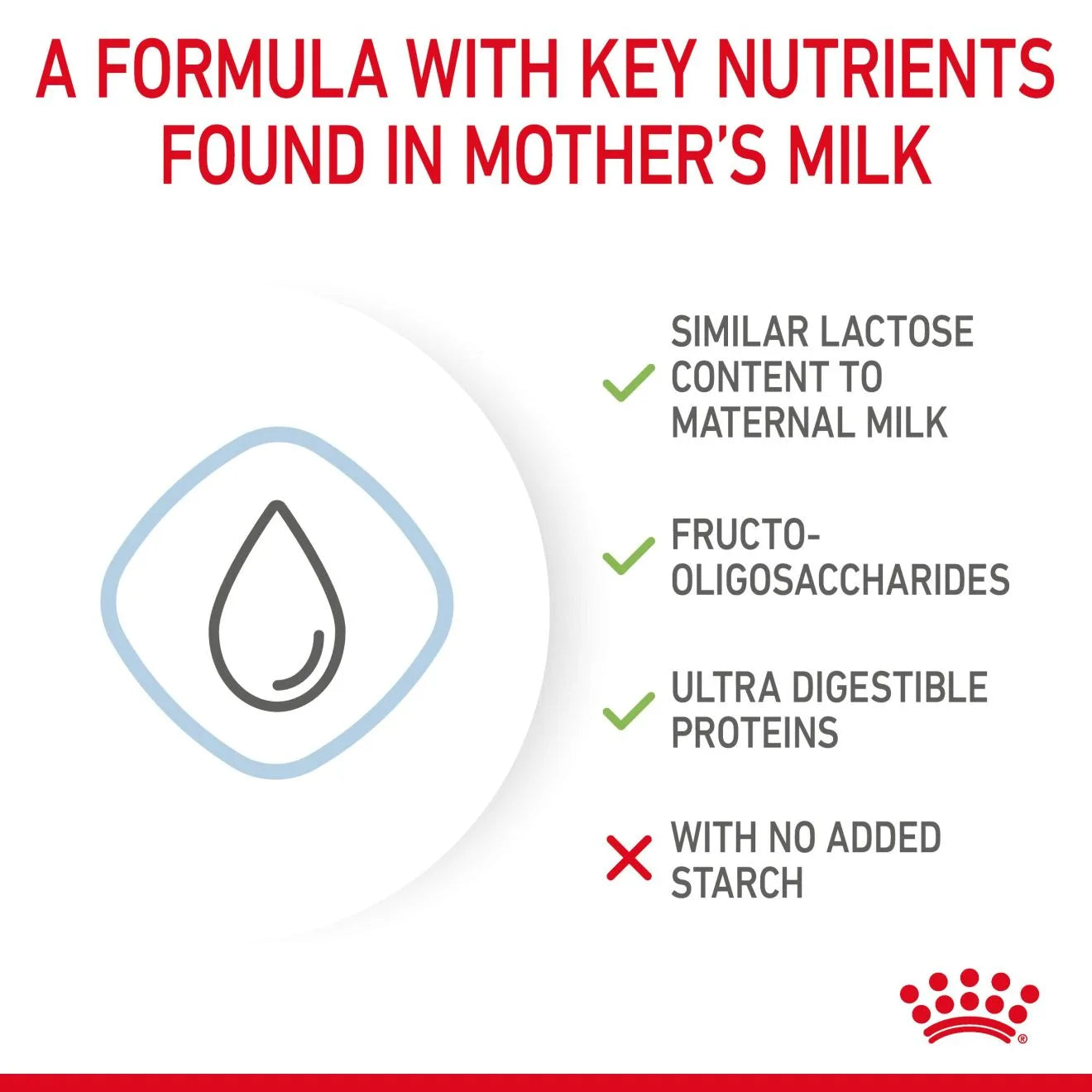 Royal Canin Babydog Milk for Puppies