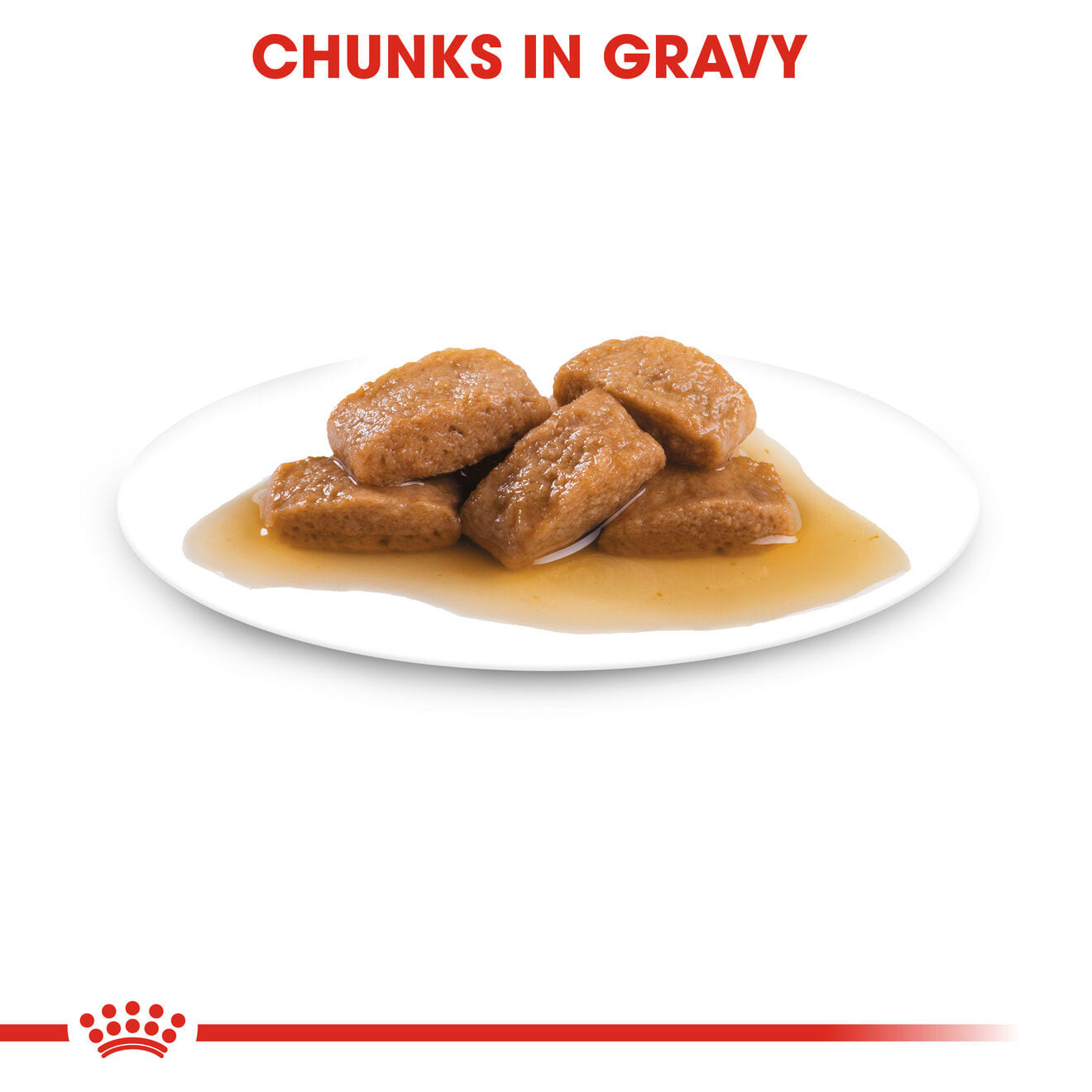 Royal Canin Wet Dog Food Chunks In Gravy for Large Breed Adult Dogs, 140g