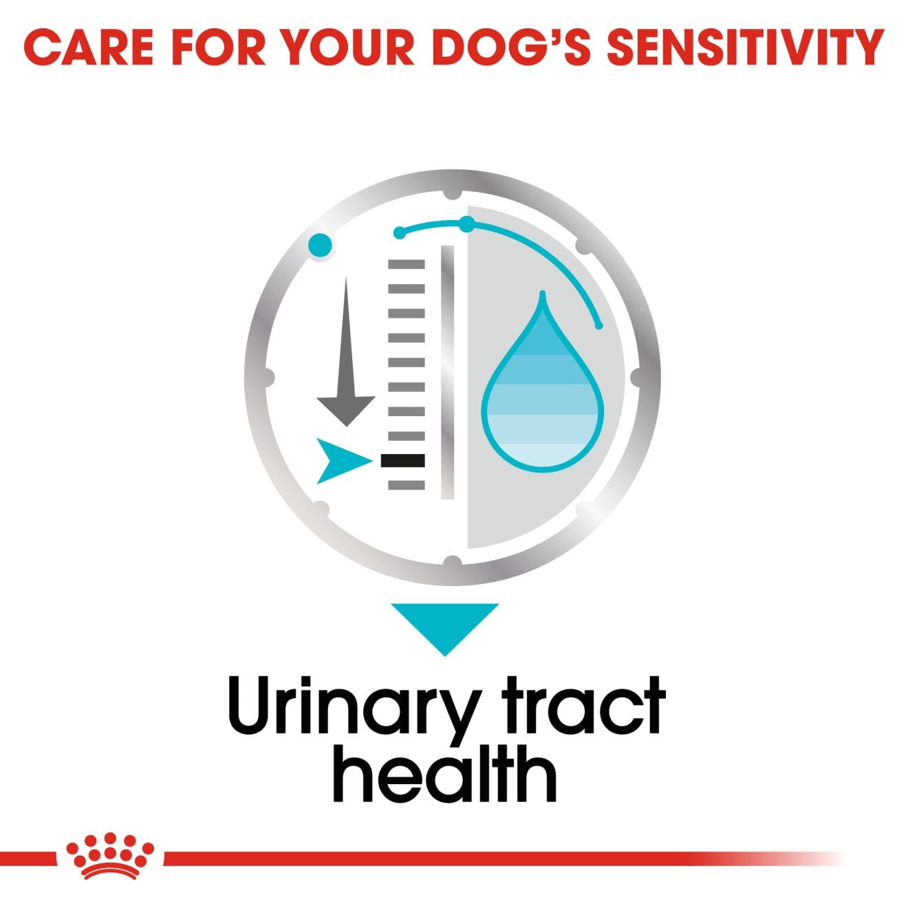 Royal Canin Urinary Care Wet Dog Food Loaf in Sauce for Adult Dogs, 85g