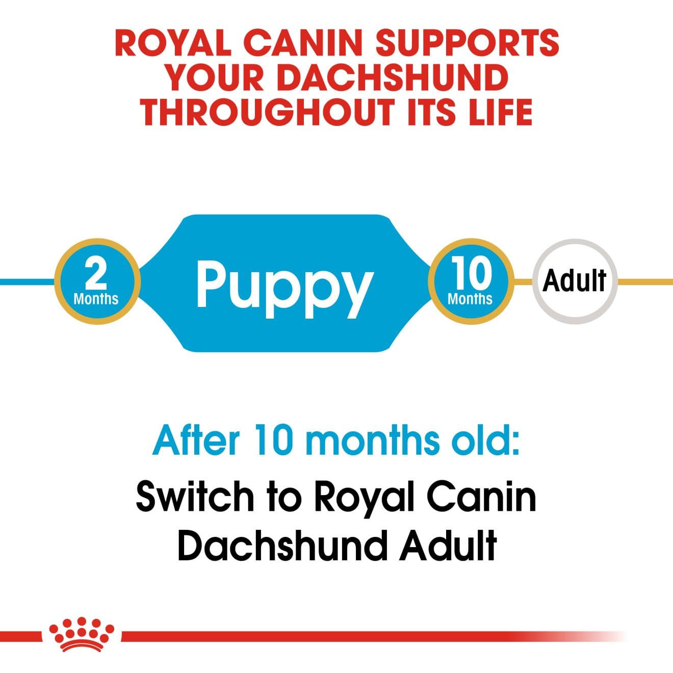 Royal Canin Dry Dog Food for Dachshund Puppies, 1.5kg