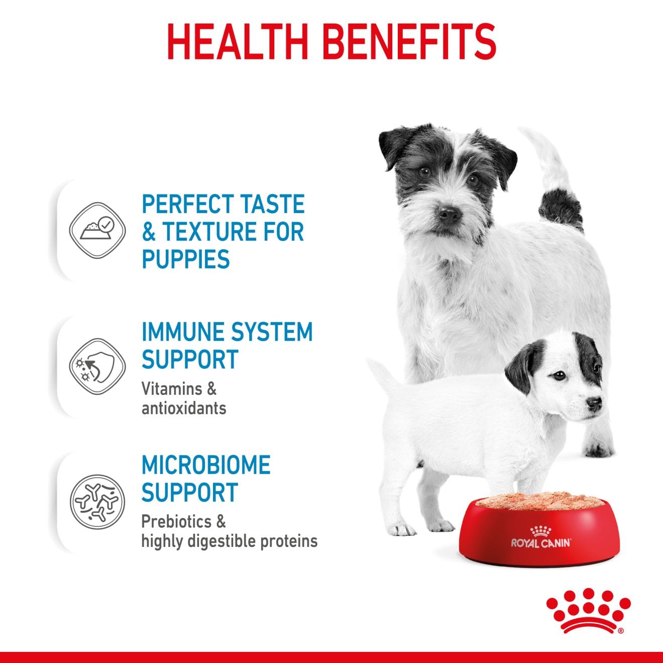 Royal Canin Starter Mother & Babydog Ultra Soft Mousse Wet Dog Food for Adult Dogs & Puppies, 195g