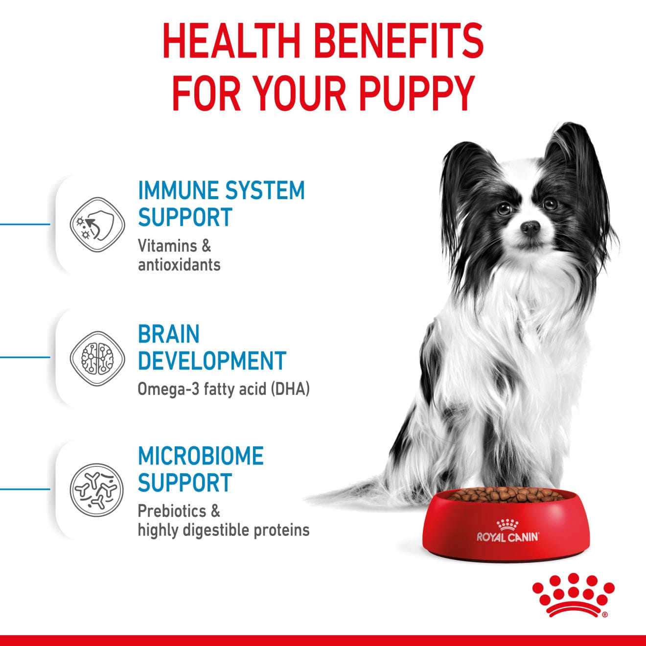 Royal Canin Dry Dog Food for Extra-Small Breed Puppies, 1.5kg