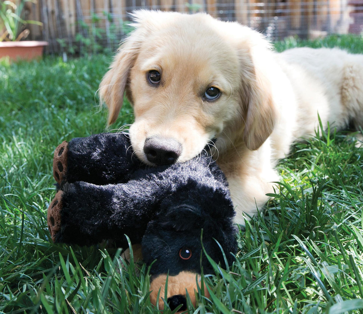 Kong Comfort Kiddos Bear Dog Toy, Large