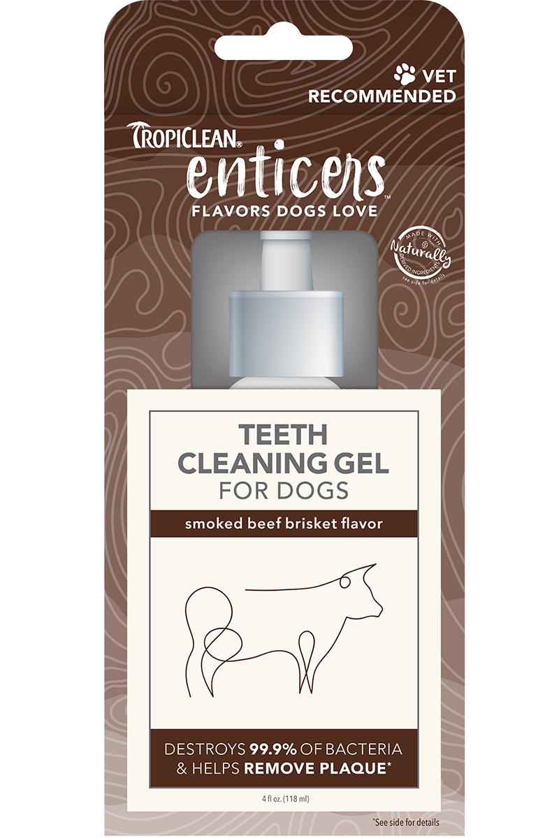 TropiClean Enticer Teeth Cleaning Gel for Dogs, Beef