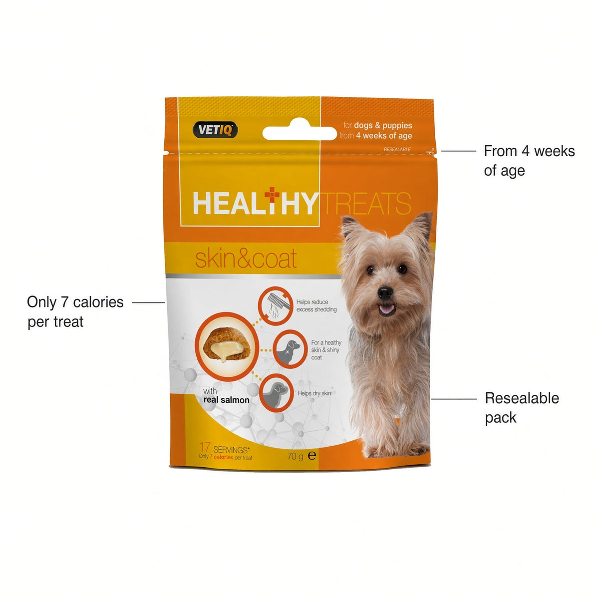 VetIQ Healthy Treats Skin & Coat Dog Treats with Real Salmon 70g