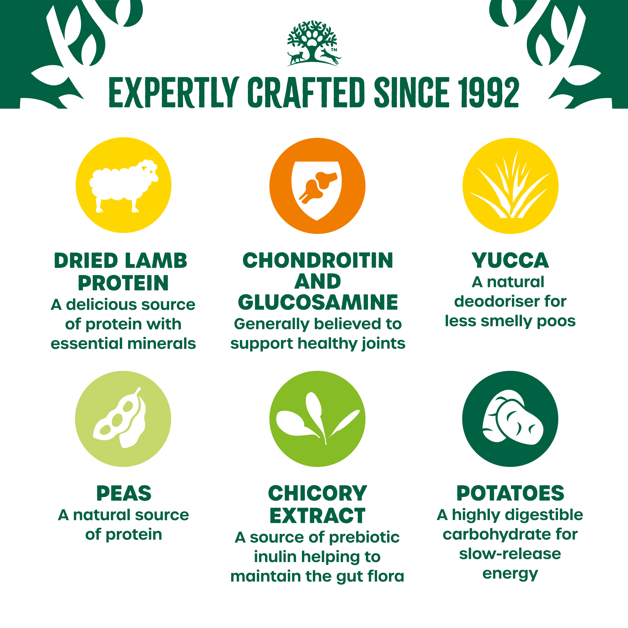 James Wellbeloved Grain Free Lamb & Vegetables Dry Dog Food for Senior Dogs