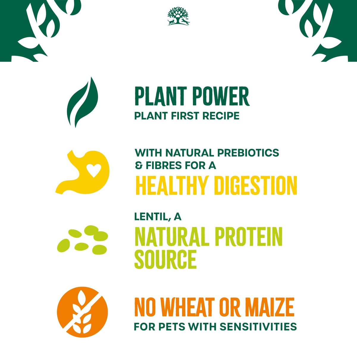 James Wellbeloved Plant Power Lamb & Lentils Dry Dog Food  for Adult Dogs, 10kg