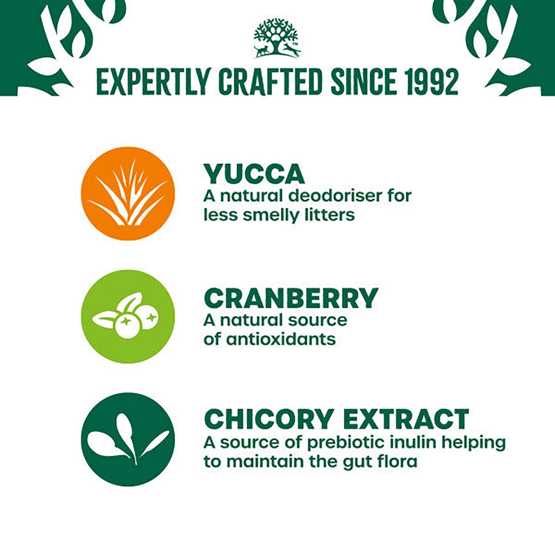 James Wellbeloved Grain Free Salmon in Gravy Wet Cat Food for Adult Cats, 12x85g