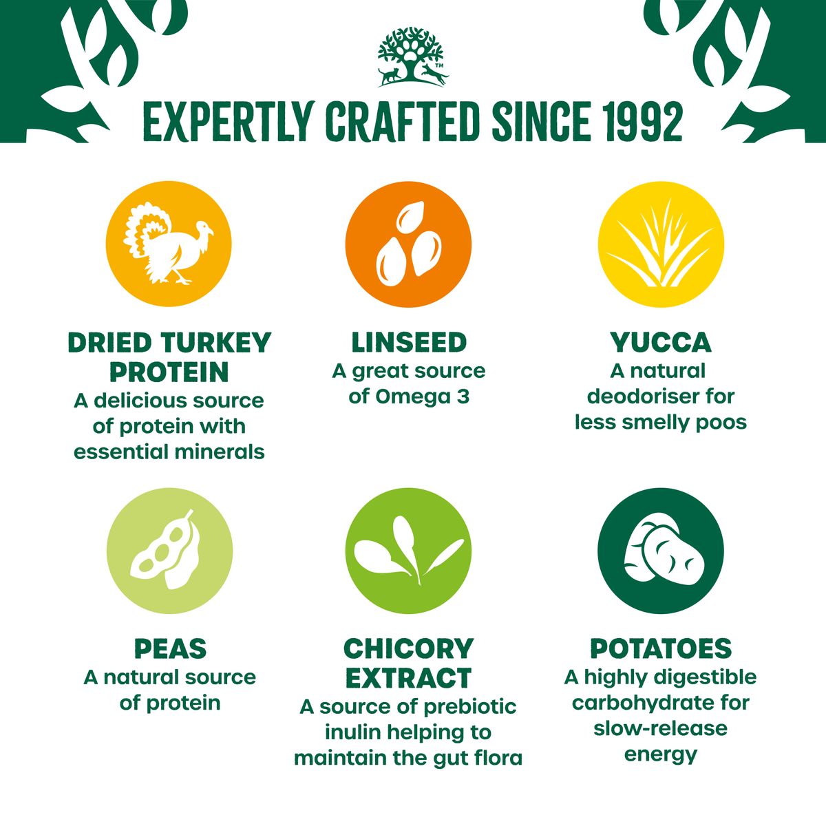 James Wellbeloved Grain Free Turkey & Vegetable Dry Dog Food  for Adult Dogs, 10kg