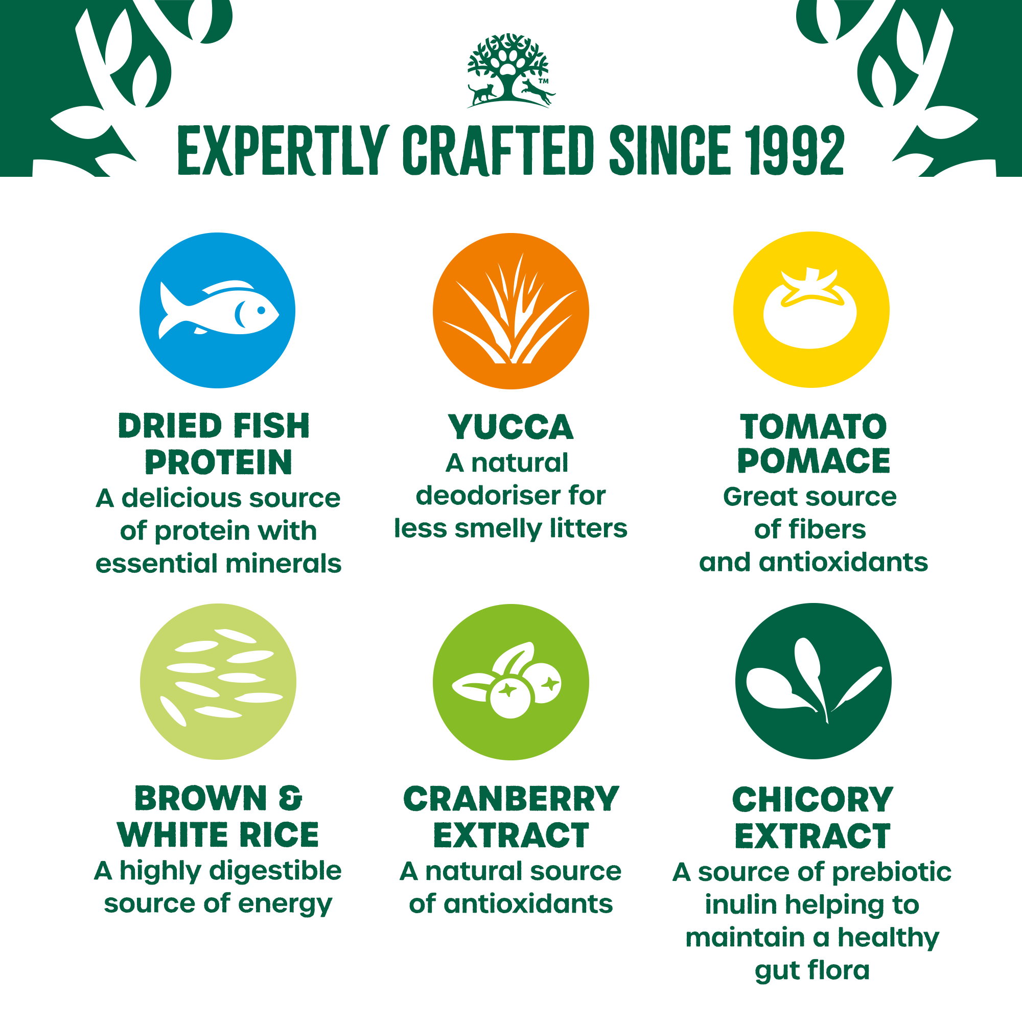 James Wellbeloved Fish & Rice Dry Cat Food for Adult Cats, 10kg