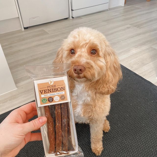 JR Pet Products Pure Venison Sticks, 50g