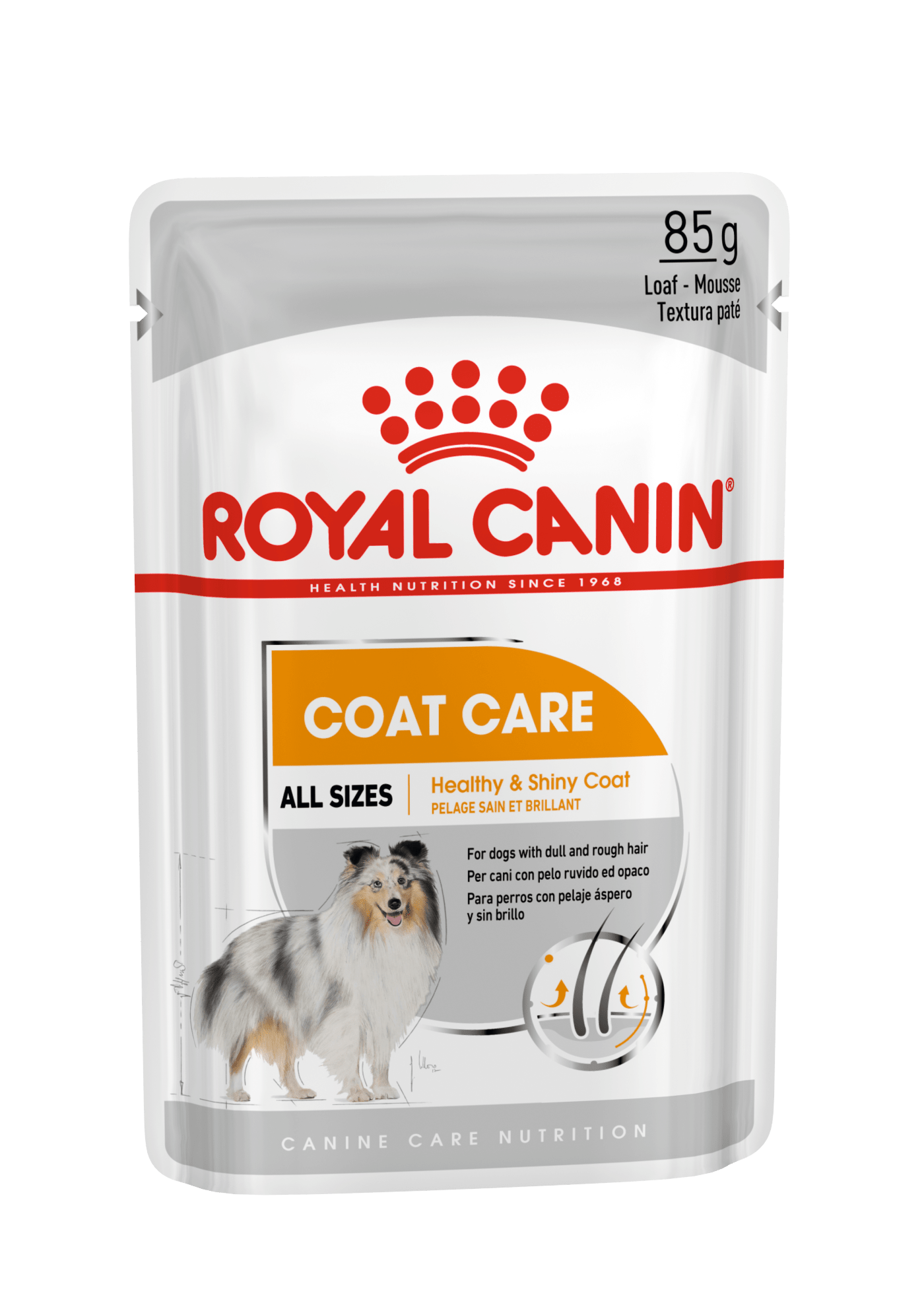 Royal Canin Coat Care Wet Dog Food Loaf in Sauce for Adult Dogs, 85g