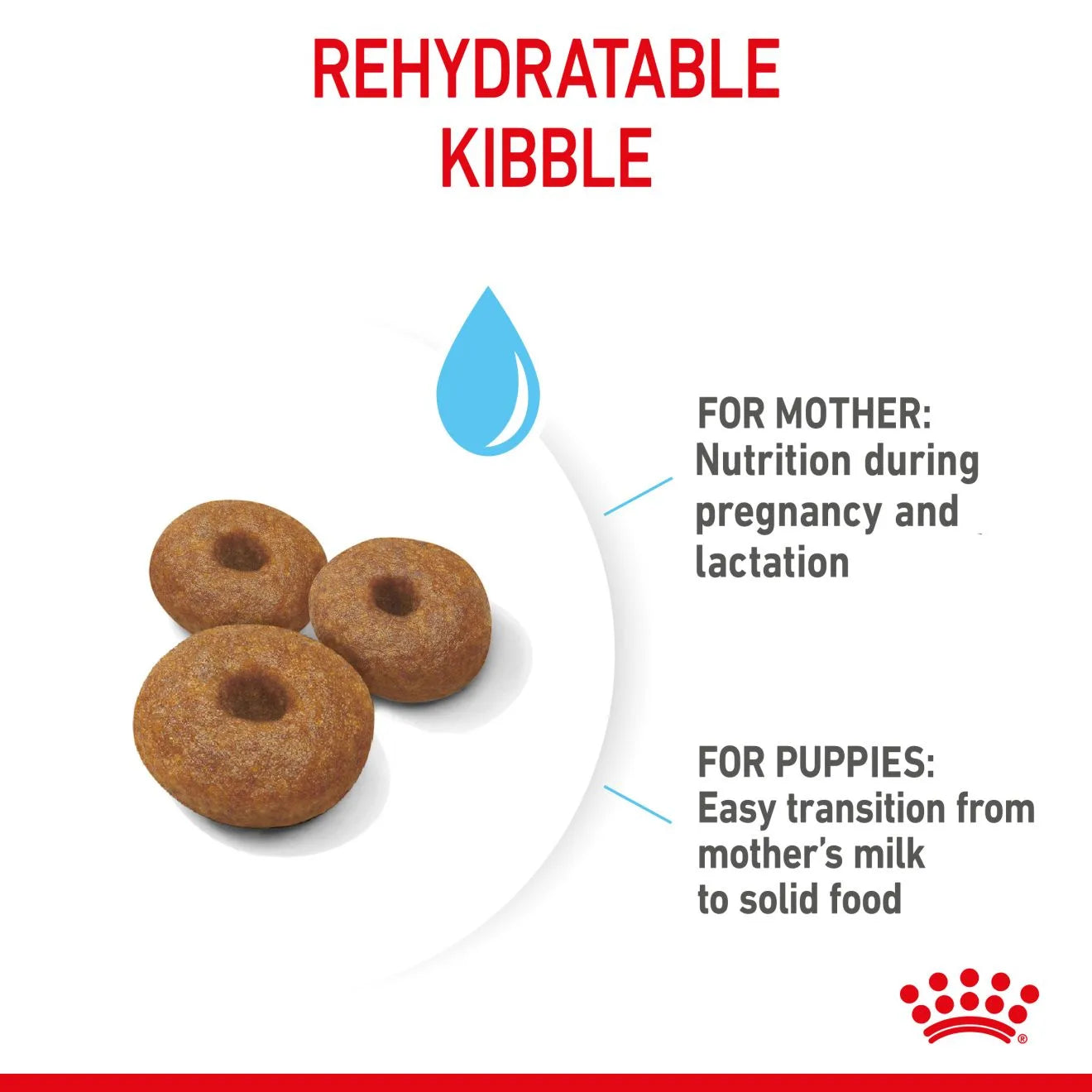 Royal Canin Starter Dry Dog Food for Extra Large Breed Mother & Babydog, 15kg