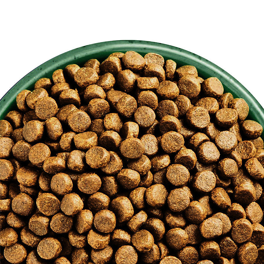 James Wellbeloved High Protein Chicken & Turkey Dry Dog Food for Adult Dogs, 10Kg