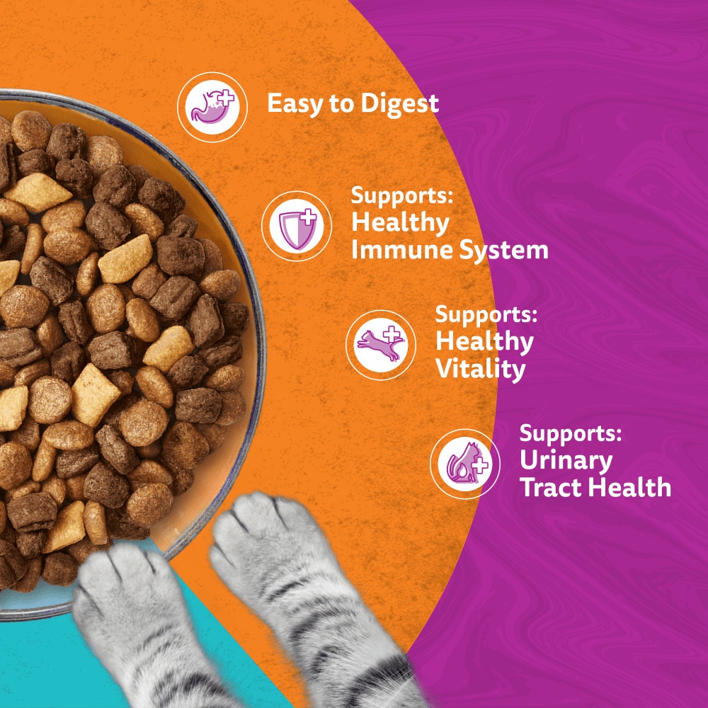Whiskas Duo Surf & Turf Dry Cat Food for Adult Cats, 1.9kg