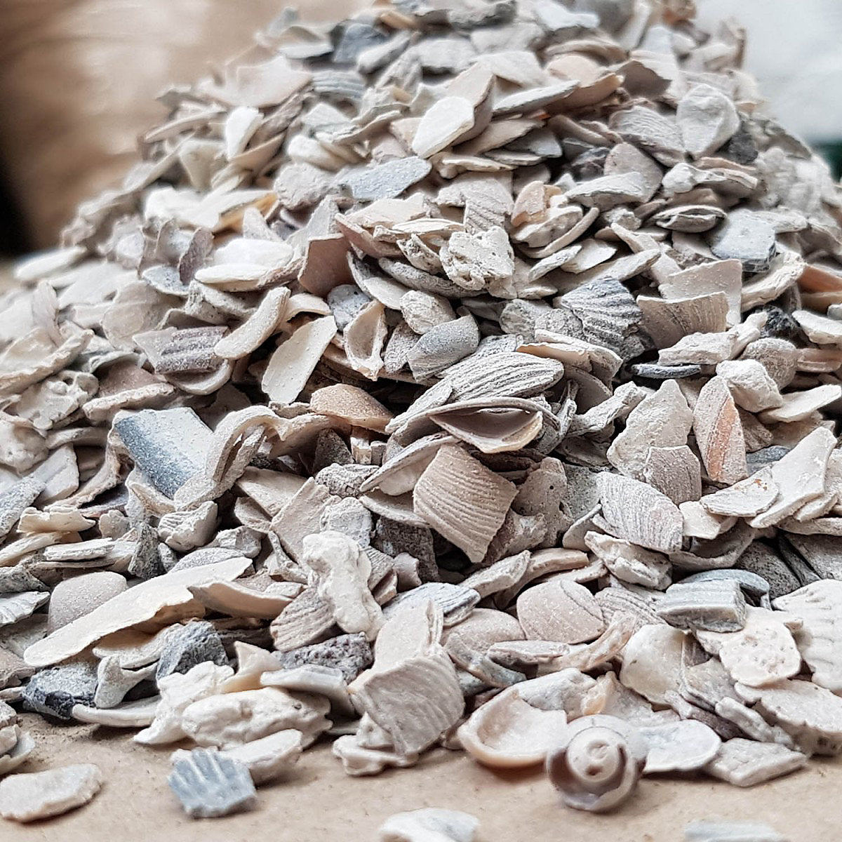 Hadley Mixed Oyster Grit for Hens (4-7mm)
