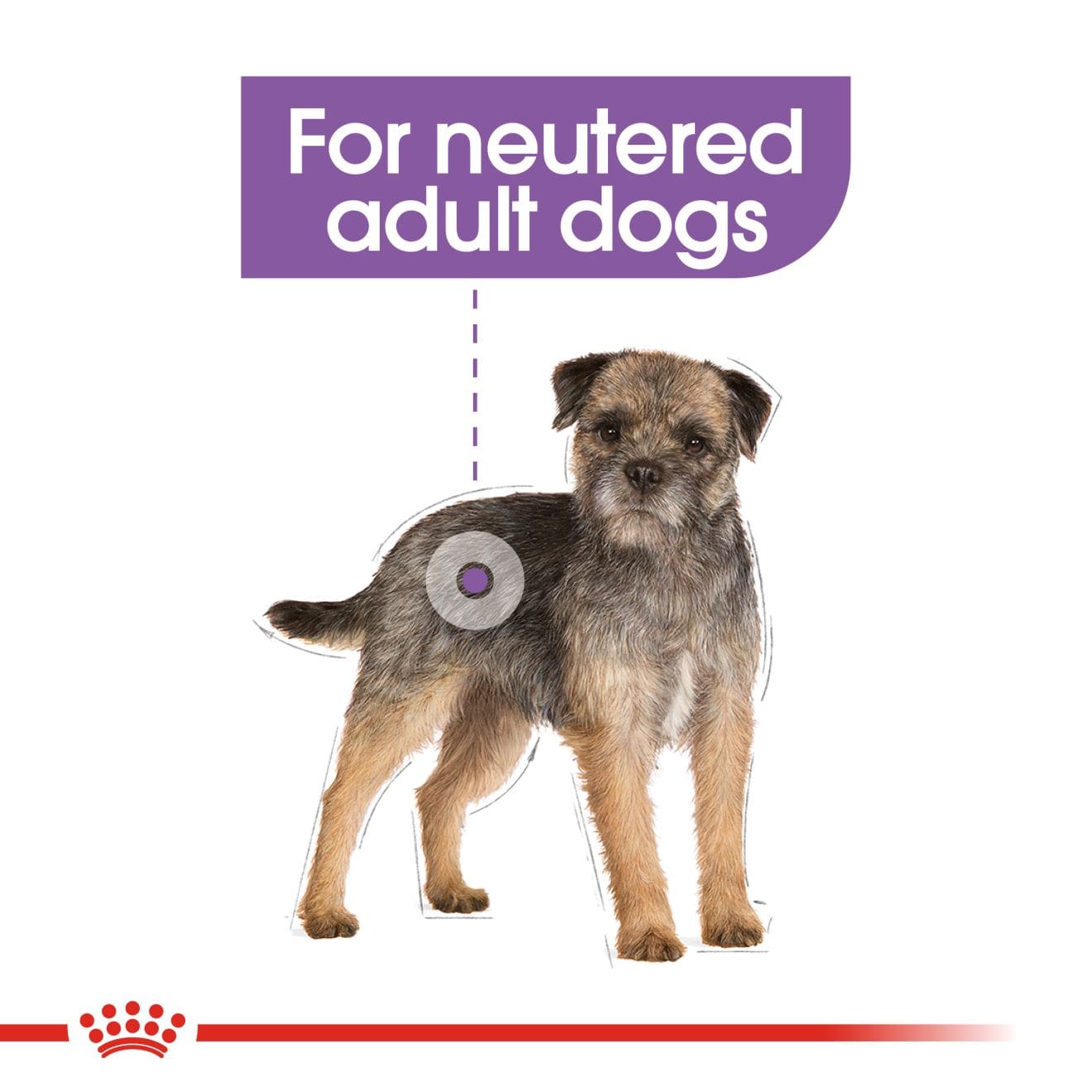 Royal Canin Sterilised Wet Dog Food Thin Slices In Gravy for Neutered Adult Dogs, 85g