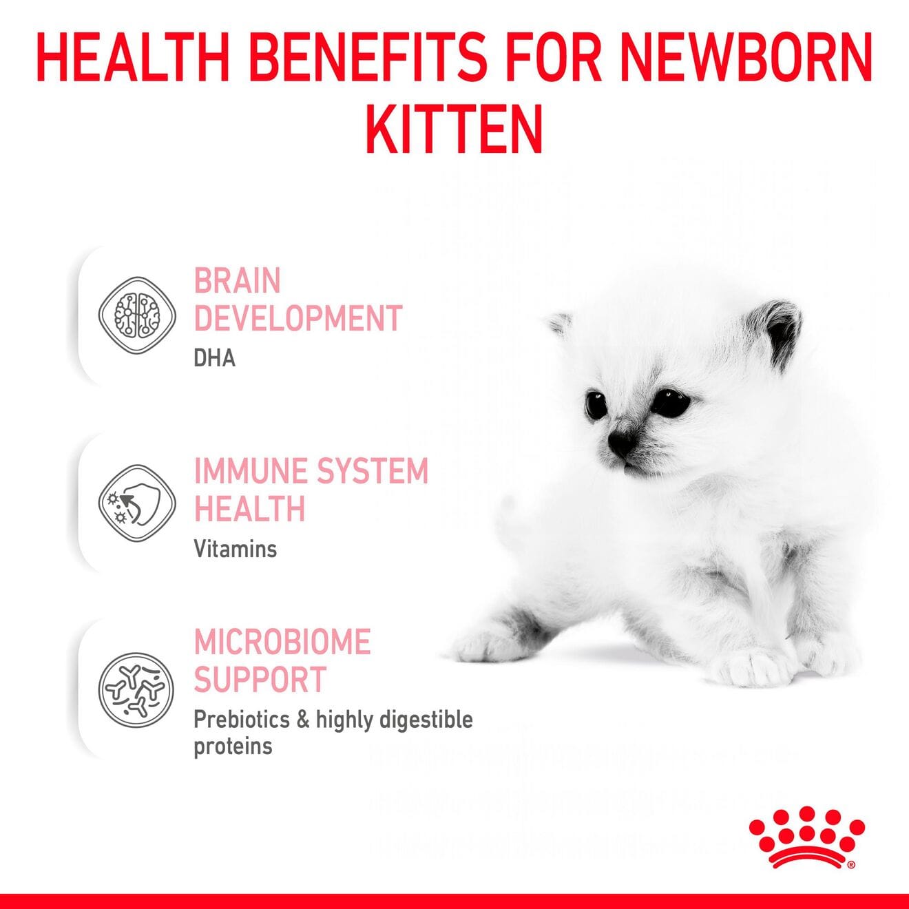 Royal Canin Babycat Milk for Kittens, 300g
