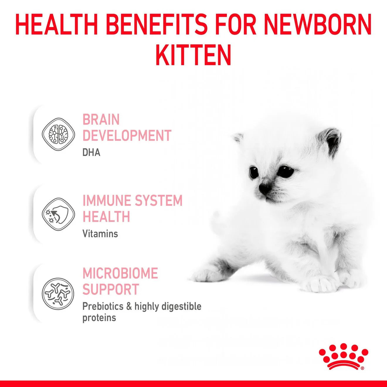 Royal Canin Babycat Milk Cat Food for Kittens, 300g