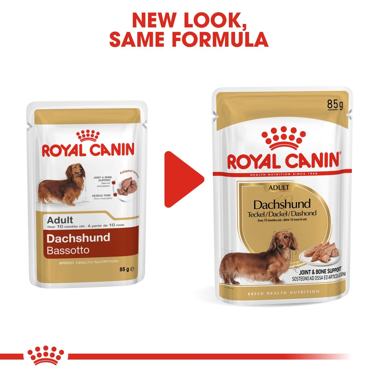 Royal Canin Wet Dog Food In Loaf for Adult Dachshunds, 85g