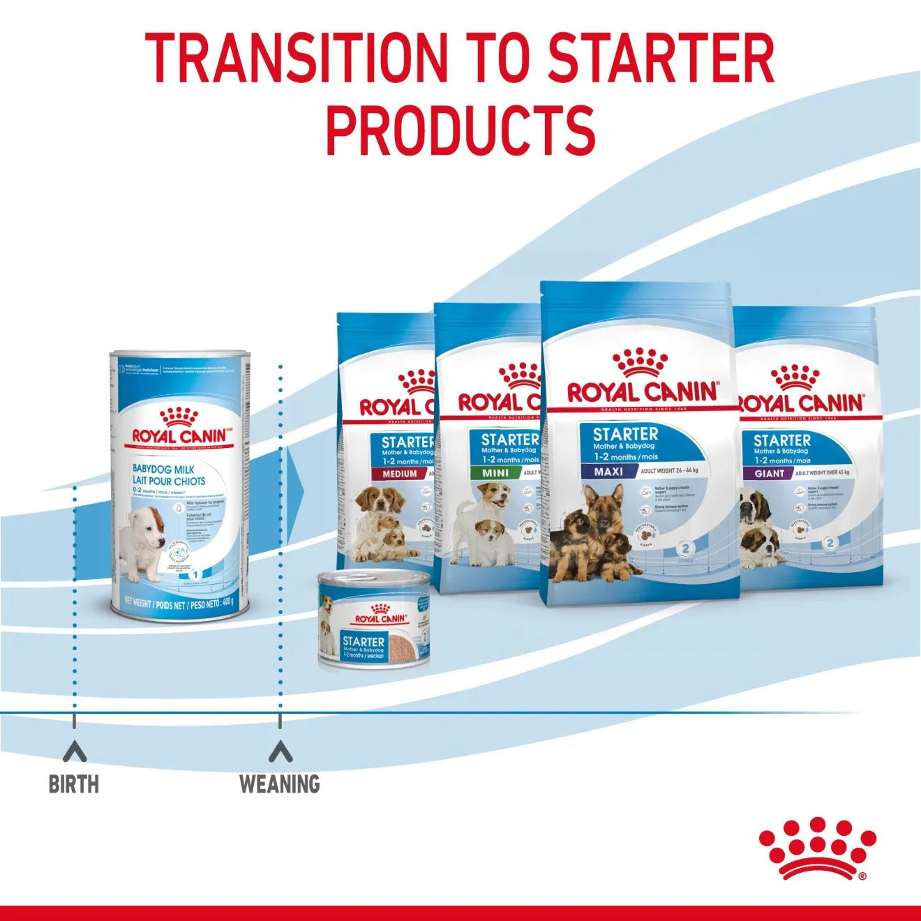 Royal Canin Babydog Milk for Puppies