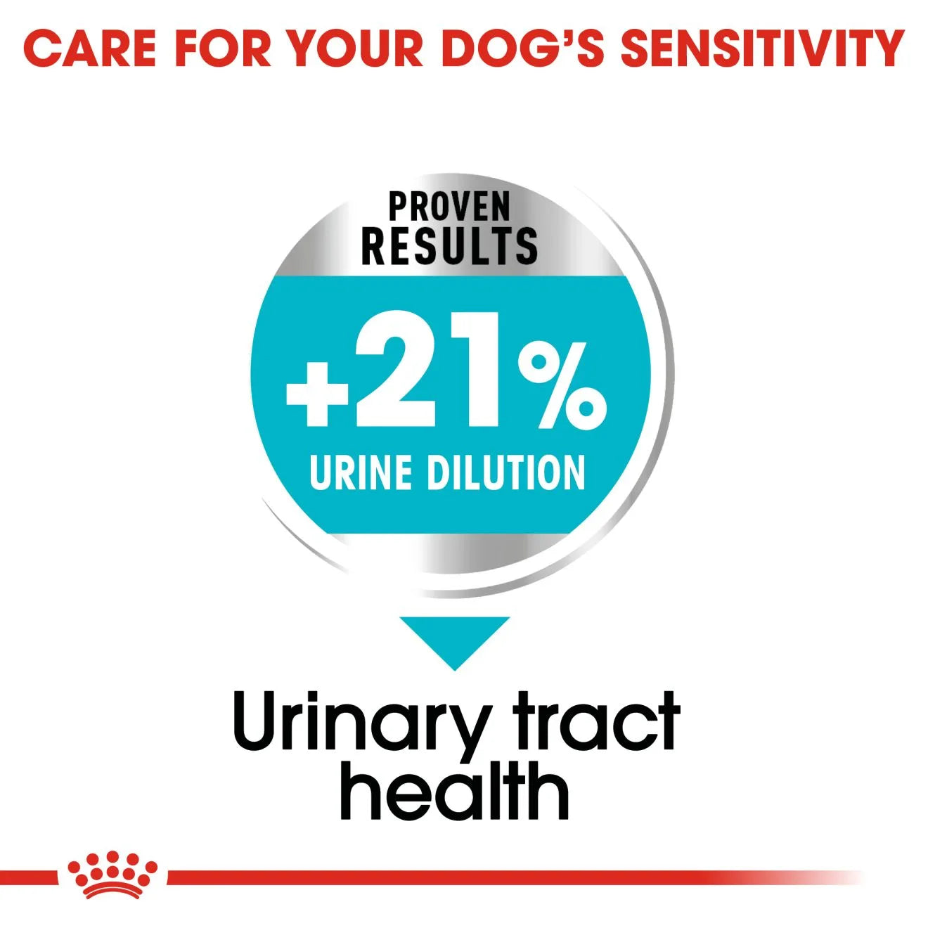 Royal Canin Urinary Care Dry Dog Food for Small Breed Adult Dogs, 3kg