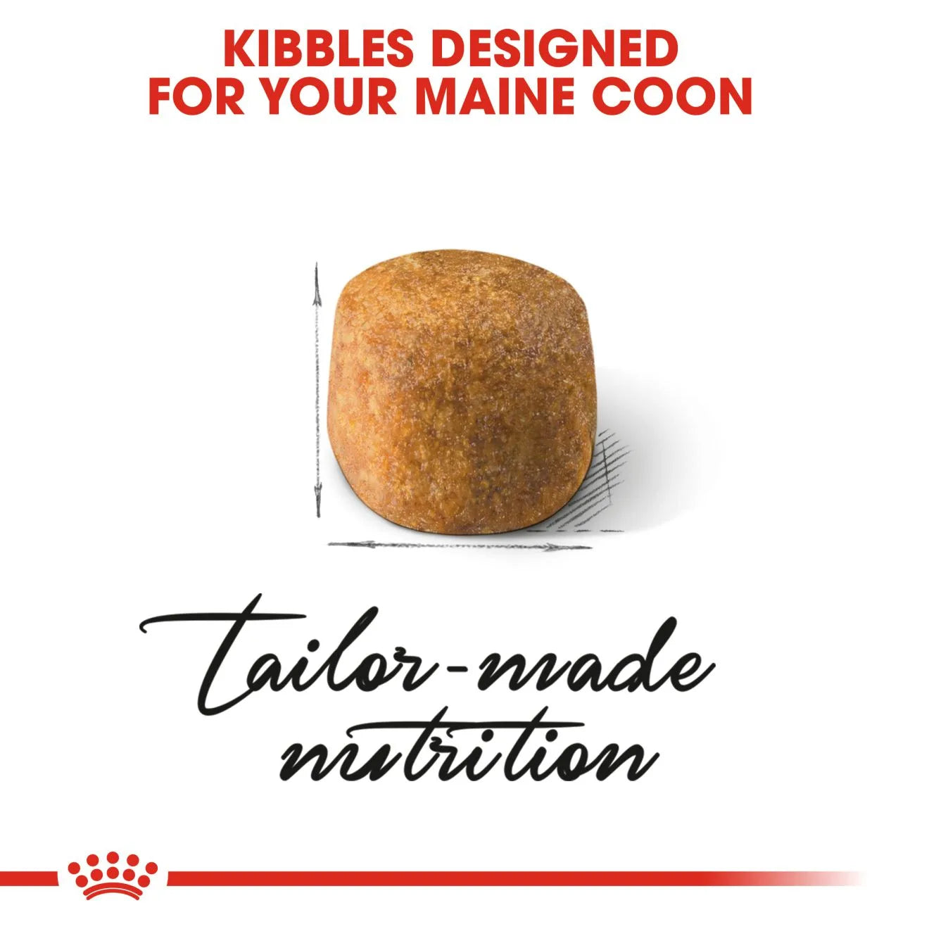 Royal Canin Dry Cat Food for Adult Maine Coon Cats