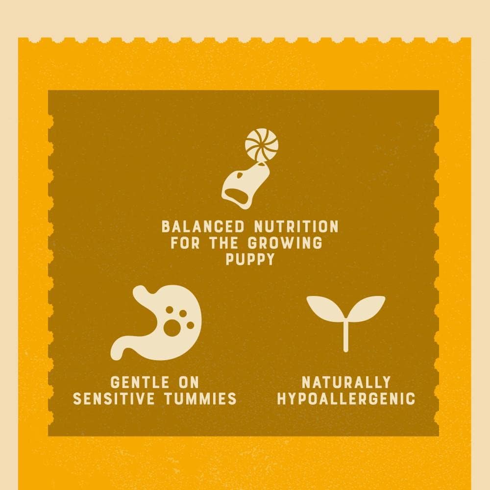 James Wellbeloved Lamb with Rice & Vegetables in Gravy Wet Dog Food for Puppies, 10 x 150g