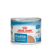 Royal Canin Starter Mother & Babydog Ultra Soft Mousse Wet Dog Food for Adult Dogs & Puppies, 195g