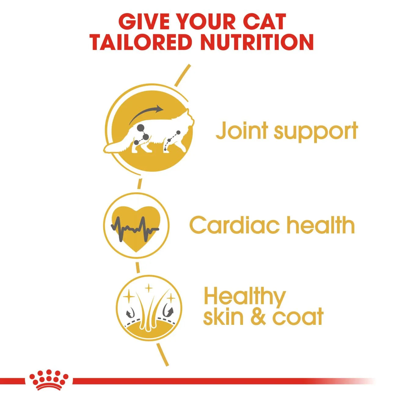 Royal Canin Dry Cat Food for Adult Maine Coon Cats