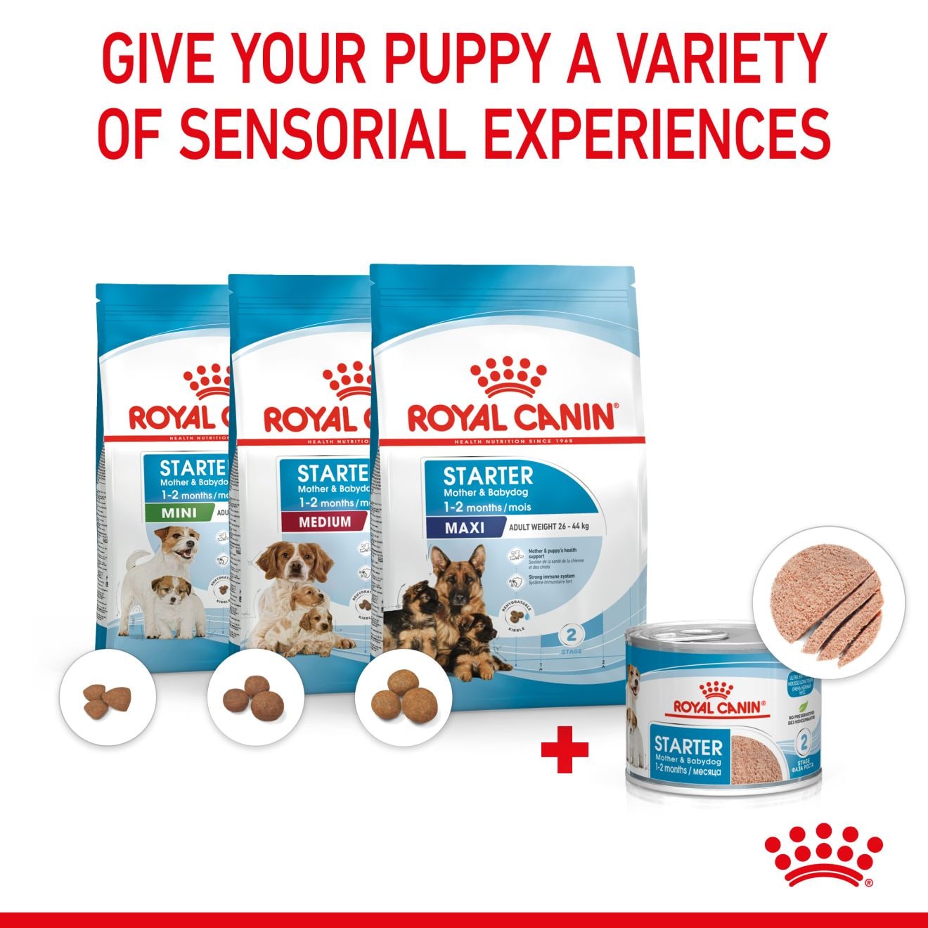 Royal Canin Starter Mother & Babydog Ultra Soft Mousse Wet Dog Food for Adult Dogs & Puppies, 195g